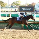 Awesome Hawaiian’s Victory an Inspirational Story for Rescue Horses