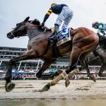 Equibase Standings: Baby Vino Makes a Big Move in 3-Year-Old Division