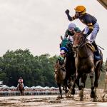 Key Takeaways from the Haskell Stakes and Other Weekend Races