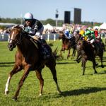 Wesley Ward-Trained Bacio Overwhelms Rivals in Royal Ascot Handicap