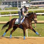 Third Time’s the Charm: Baeza Can Defeat Sovereignty in Jim Dandy Stakes