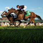 Live Longshots and Value Bets for Saturday’s Big Turf Card at Kentucky Downs