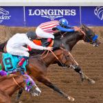 Twelve Things You Should Know About the 2020 Breeders’ Cup Classic