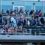 A Winning Wagering Strategy for the 2026 Pilgrim Stakes 