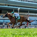 Belmont at the Big A: Jockeys and Trainers to Follow at Final Meet