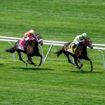 Betting Horse Racing Online: Dos and Don’ts from Team ABR
