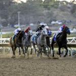 2026 Bing Crosby Stakes at a Glance