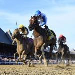Buy or Sell on Road to Breeders’ Cup: Forego Stakes Winner Book’em Danno