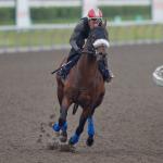 A History-Making King’s Plate Bid for ‘Chill’ Manitoba-Bred Brachetto