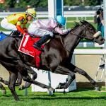 Hall Stables Relishing Ties to Breeders’ Cup Hopefuls Brickyard Belle, Joe Shiesty