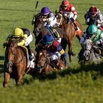 2026 Queen Elizabeth II Challenge Cup Stakes at a Glance