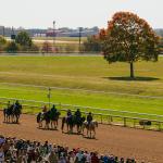 Three Double-Digit Longshots to Consider on Fall Stars Saturday