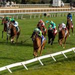 2025 Queen Elizabeth II Challenge Cup at a Glance