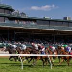 Opportunity Knocks With 15-1 Longshot in Coolmore Turf Mile Stakes