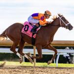 Is Highly Regarded Further Ado a Vulnerable Favorite in Kentucky Jockey Club Stakes?