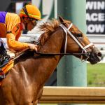 Further Ado a Formidable Win Contender for 2026 Haskell Stakes 