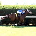 Improving Chapman’s Peak the Pick in Commonwealth Turf Stakes
