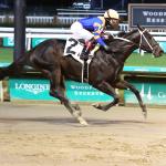 Betting on Speed in the 2025 Gun Runner Stakes