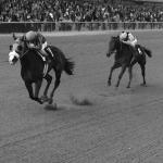 Underappreciated Racing Legends of the 1970s: Chris Evert, Susan’s Girl, and Wajima