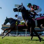 Where to Watch/Listen: Horse Racing Coverage July 30-Aug. 2