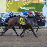 Commandment the Top Selection for 2026 Kentucky Derby