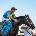 2026 Kentucky Derby Prospect Profiles: Florida Derby Winner Commandment 