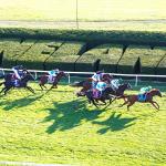 2025 Coolmore Turf Mile Stakes at a Glance