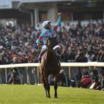 What to Know About and How to Watch the 2025 Japan Cup