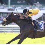 Cugino Gets Slight Edge in Wide-Open Ft. Lauderdale Stakes