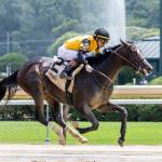 Big Saturday Ahead for Griffin Johnson’s New Horses