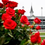 Five Questions You Were Too Scared to Ask About the Kentucky Derby – and the Answers