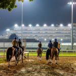 Byron King’s Derby Dozen for April 29