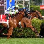 Equibase Rankings: Saratoga Turf Stars Move Up the Leaderboard 