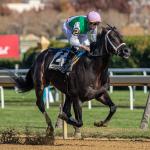 Equibase Rankings: Veterans and Rising Stars Highlight the Week