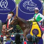Elite Power: Two-Time Breeders’ Cup Winner and a Modern-Day Sprint Sensation