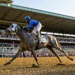 Five Key Takeaways from Belmont Stakes Saturday