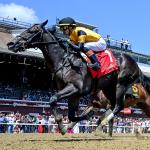 Ewing Returns! What to Know About Griffin Johnson’s 3-Year-Old Racehorse