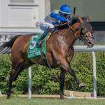 Faithful Departed Poised for Winning Effort in Belmont Oaks