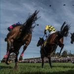 2025 Far Hills Race Meeting Features World-Class Steeplechase Racing