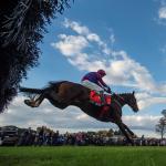 Where to Watch/Listen: Horse Racing Coverage Oct. 14-18