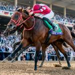 Forever Young and Sovereignty Tie as World's Best Dirt Racehorses in Longines Rankings