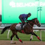 An Early Look at the Prospective Field for the 2026 Breeders’ Cup Classic