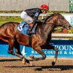 Final Rookie Rankings for Dec. 30: Leading 2026 Kentucky Derby Contenders