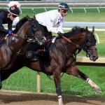 Golden Tempo Remains Atop 3-Year-Old Power Rankings Ahead of Belmont Stakes