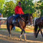 Golden Tempo Rates Slight Edge Over Renegade in Travers Stakes