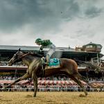 Kentucky Derby Winner Golden Tempo Rallies for Thrilling Belmont Stakes Score