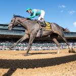 Which Horse Can Defeat Journalism in the Haskell Stakes?
