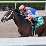 Three Potential Breakout Candidates in Upcoming Kentucky Derby Prep Races