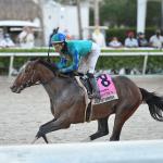 2021 Derby Trail: Three Heating Up, Three Cooling Down for March 2