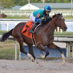2021 Fountain of Youth Stakes Cheat Sheet
